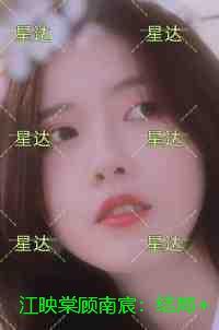江映棠顾南宸