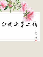 红楼之穿二代