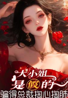 权路迷局绯色官途