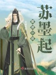 霸道小叔苏墨起