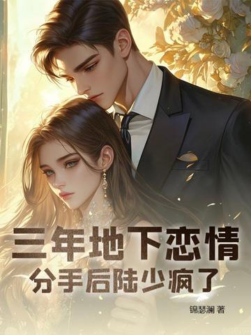 三年地下恋情，分手后陆少疯了